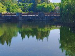 -上海滨江森林公园