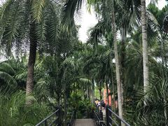 -东芭乐园