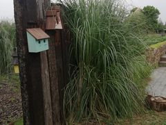 -田园东方蜜桃村的田野营地