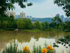 -沐仙湖湿地公园
