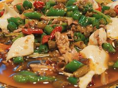 -新蜀会四川豆花(五羊店)