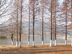 -长广溪湿地公园
