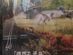 -辽宁古生物博物馆