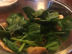 -樱の花亭日本料理店