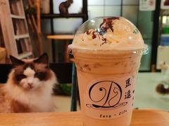 -豆逗聊愈猫阁Easy Life