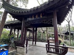 -上海佘山国家森林公园天马山园