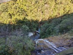 -九龙江国家森林公园