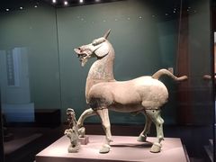 -广西壮族自治区博物馆