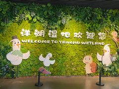 -洋湖国家湿地公园