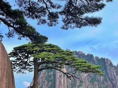 -黄山风景区