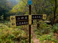 -太平万花山景区