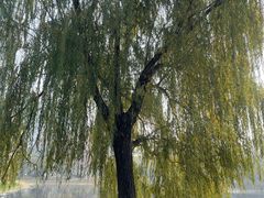 -堤角公园