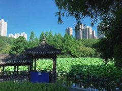 -龙头寺公园