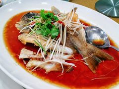 清蒸石斑鱼-無招牌海鮮(芽笼店)