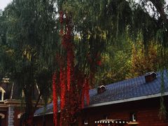 -仙居谷风景区