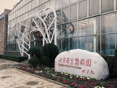 -南宫五洲植物乐园
