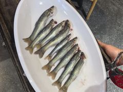 -老船舫·现做活鲜鱼馆(东郊记忆店)