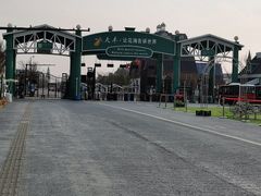 -荷兰花海
