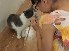 -猫友咖啡店(玉林西路店)