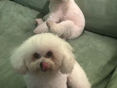 -默迹咖啡馆