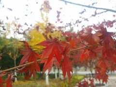 -江南大学(蠡湖校区)