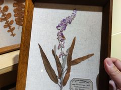 -左悦·艾灸调理·推拿按摩·精油SPA(卓悦汇店)