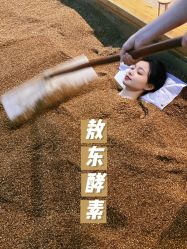 -敖东酵素·离子暖房