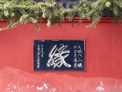 -百脉泉景区