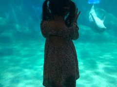 -福州罗源湾海洋世界旅游区