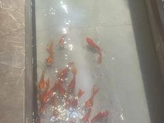 -辣不二地道川菜(汉水路店)