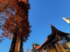 -九华山风景区
