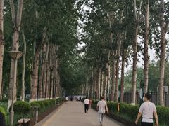 -康庄公园