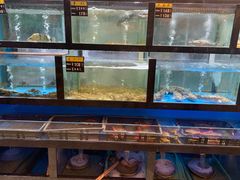 水产区-聚鑫阁江浙菜·非遗传承技艺(闵行交大店)