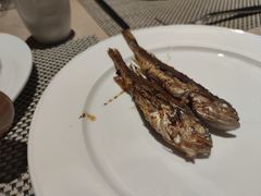 -佳源四季酒店-雅悦自助餐厅(新洲路店)