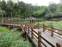 景点-龙头寺公园