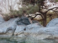 -和园景逸大酒店朗月汤泉