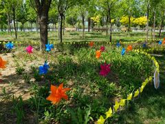 -武清南湖绿博园