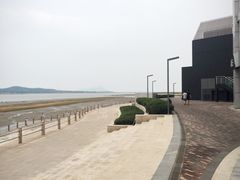 -琴岛之星摩天轮