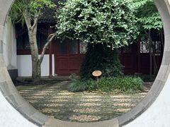 -上海醉白池公园