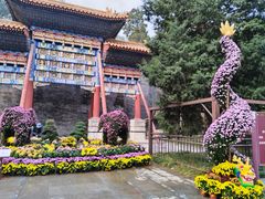 -仿膳饭庄·宫廷风味(百年传承店)