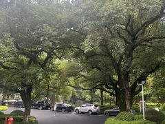 -杭州花家山庄