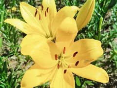 -长春公园(普阳街道)