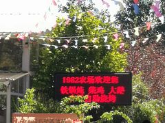 -1982农场
