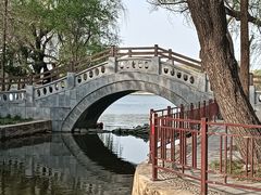 -北陵公园