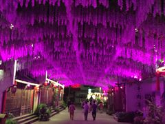 -婺源梦里老家大型山水实景演出