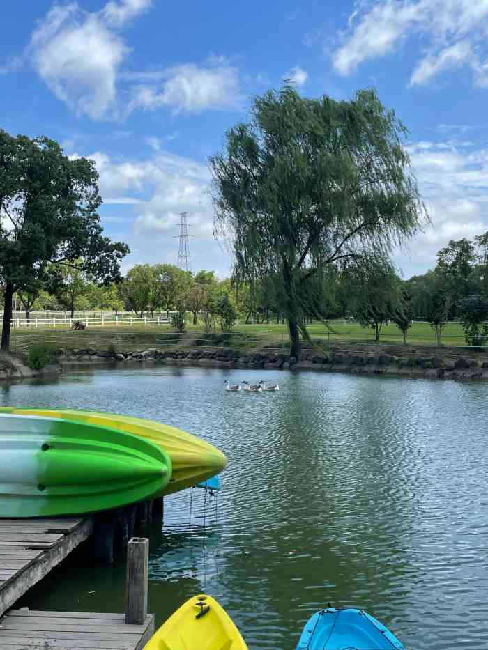 布洛瓦生态度假村-"难得天气放晴,带着家人出来透透气,选了这.