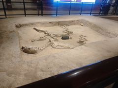 -洛阳周王城天子驾六博物馆