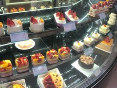 -蒲公英(五里店)