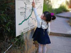 -元谋土林景区(物茂土林)