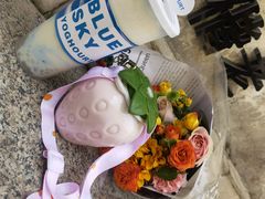 -白色日记·手作酸奶(麦凯乐店)